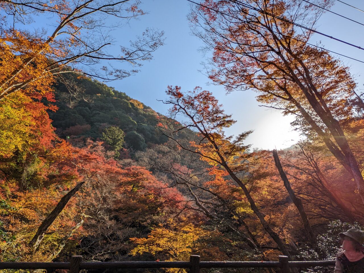 箕面の紅葉