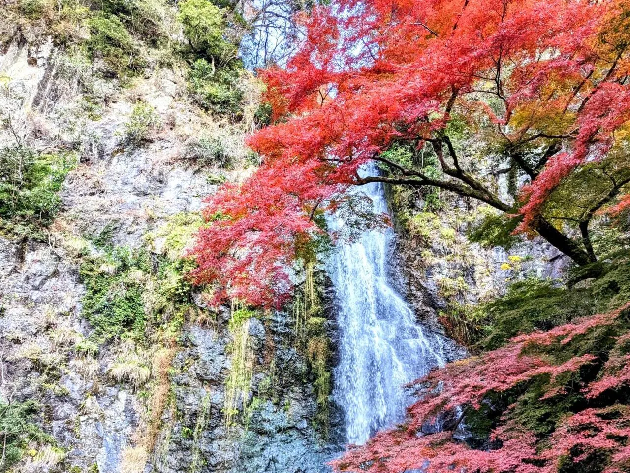 箕面大滝