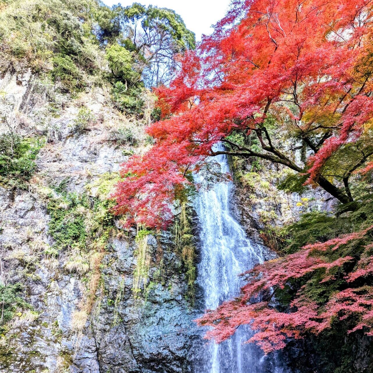 箕面大滝