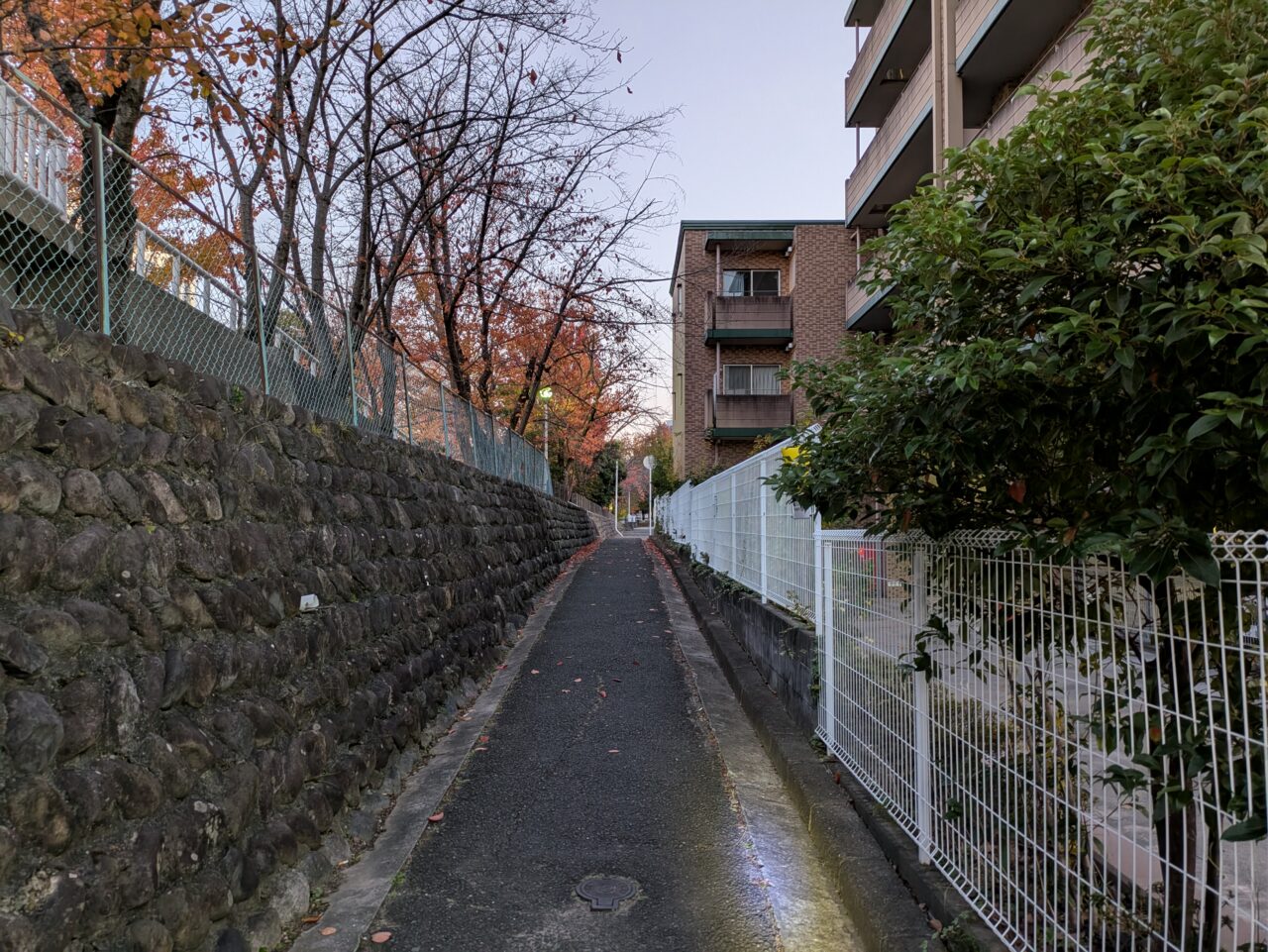 お店までの順路