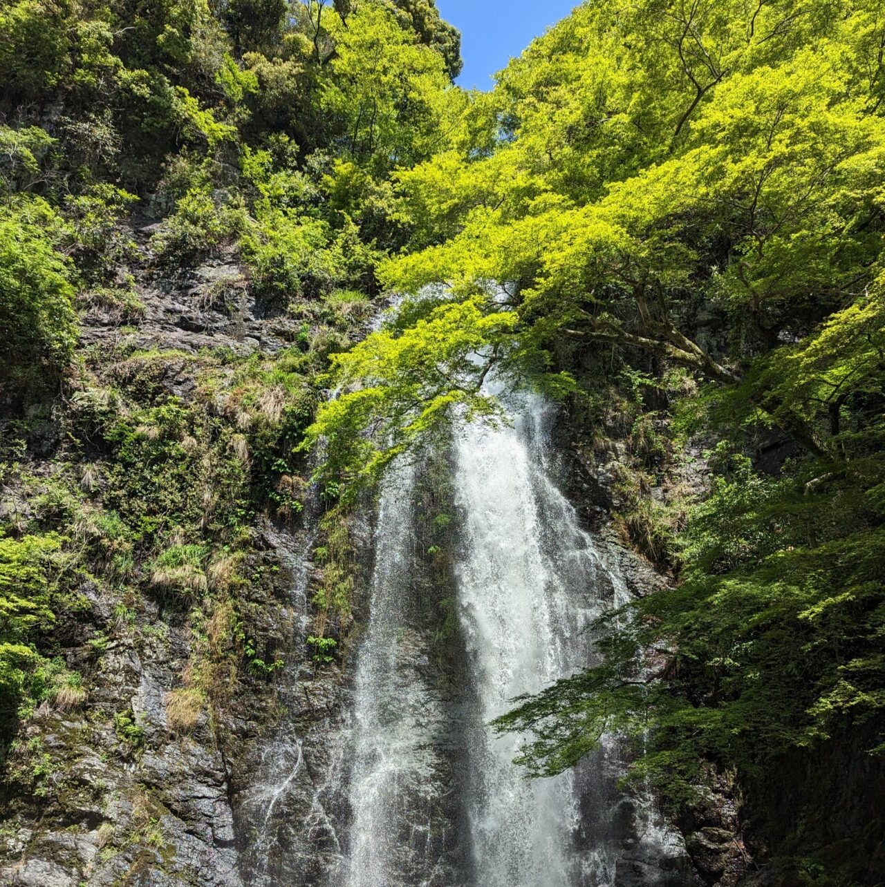 夏の箕面大滝