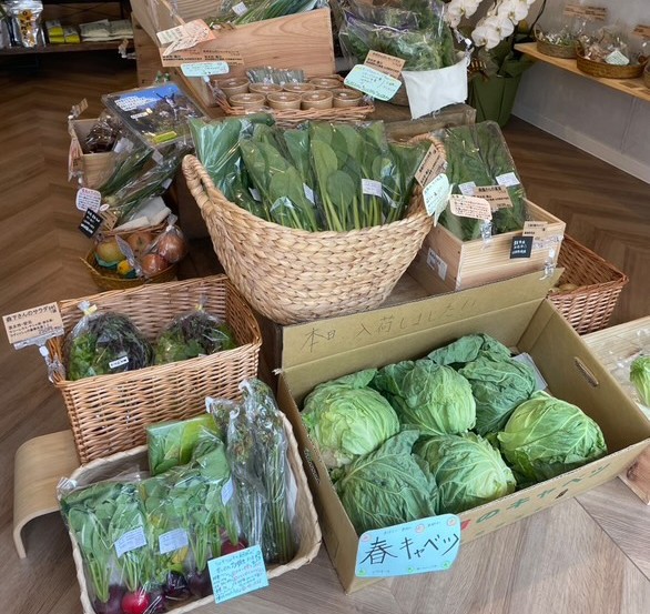 地場の新鮮野菜