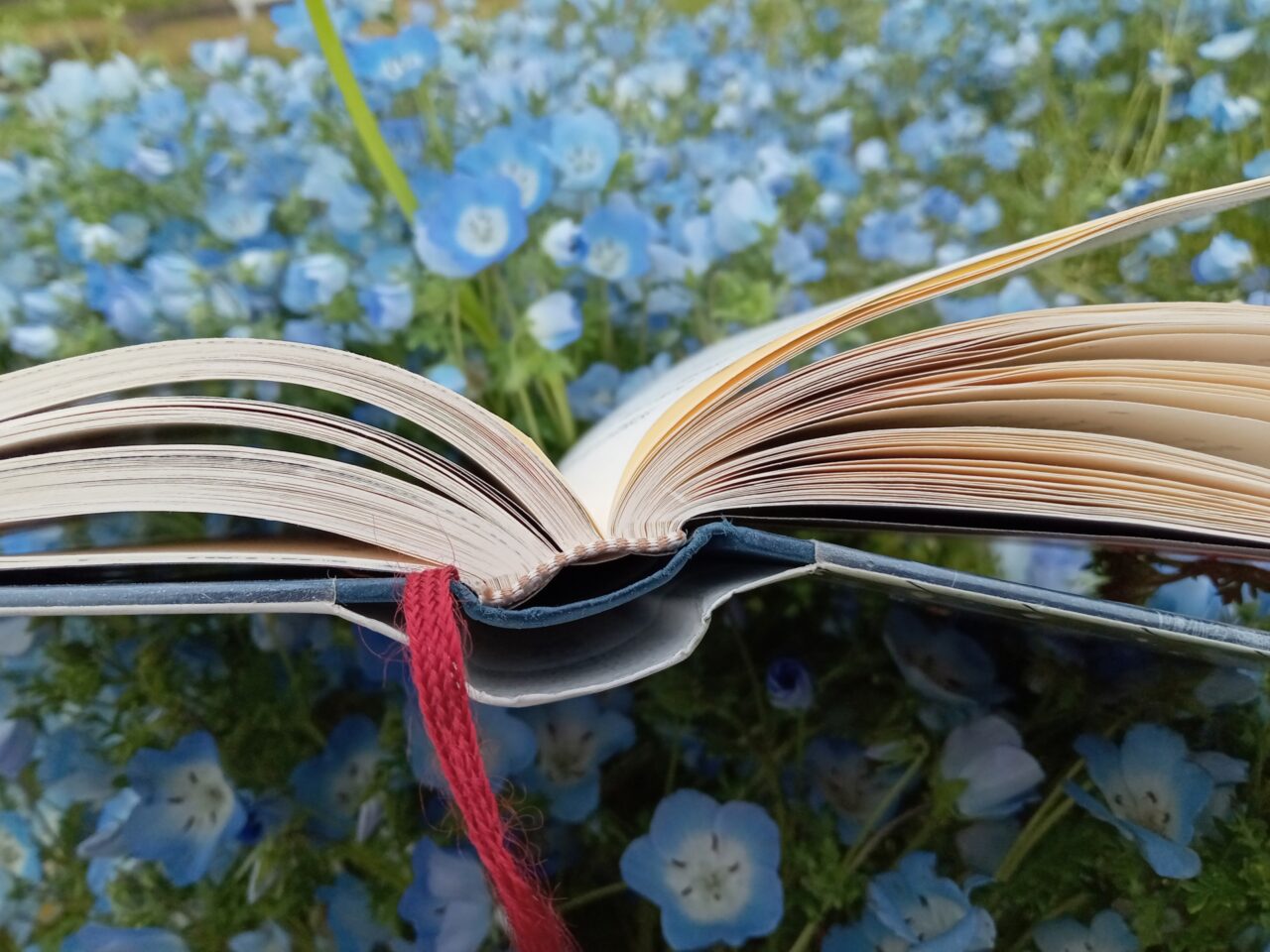 読書のイメージ