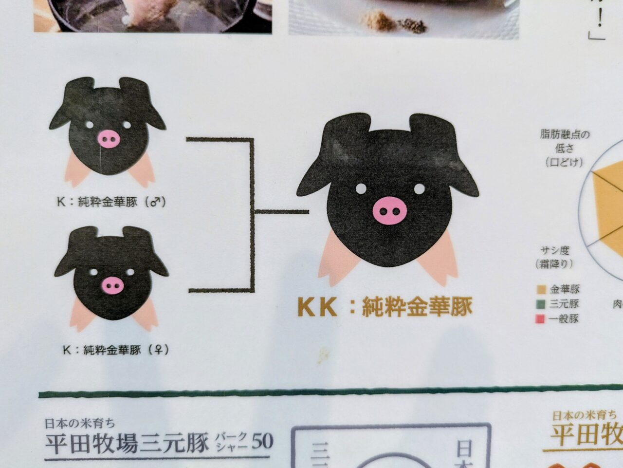 純粋金華豚の説明