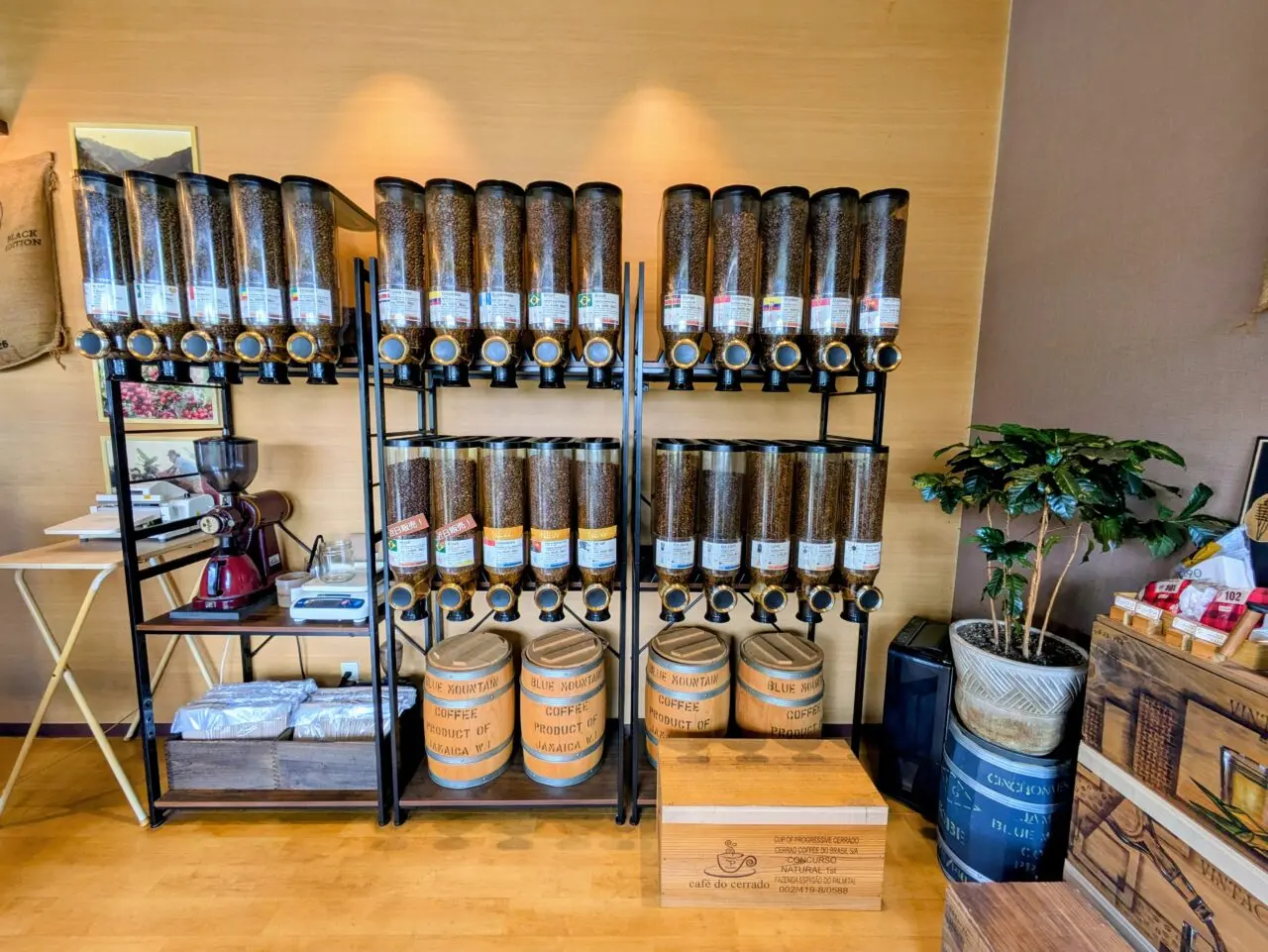 種類豊富なコーヒー豆