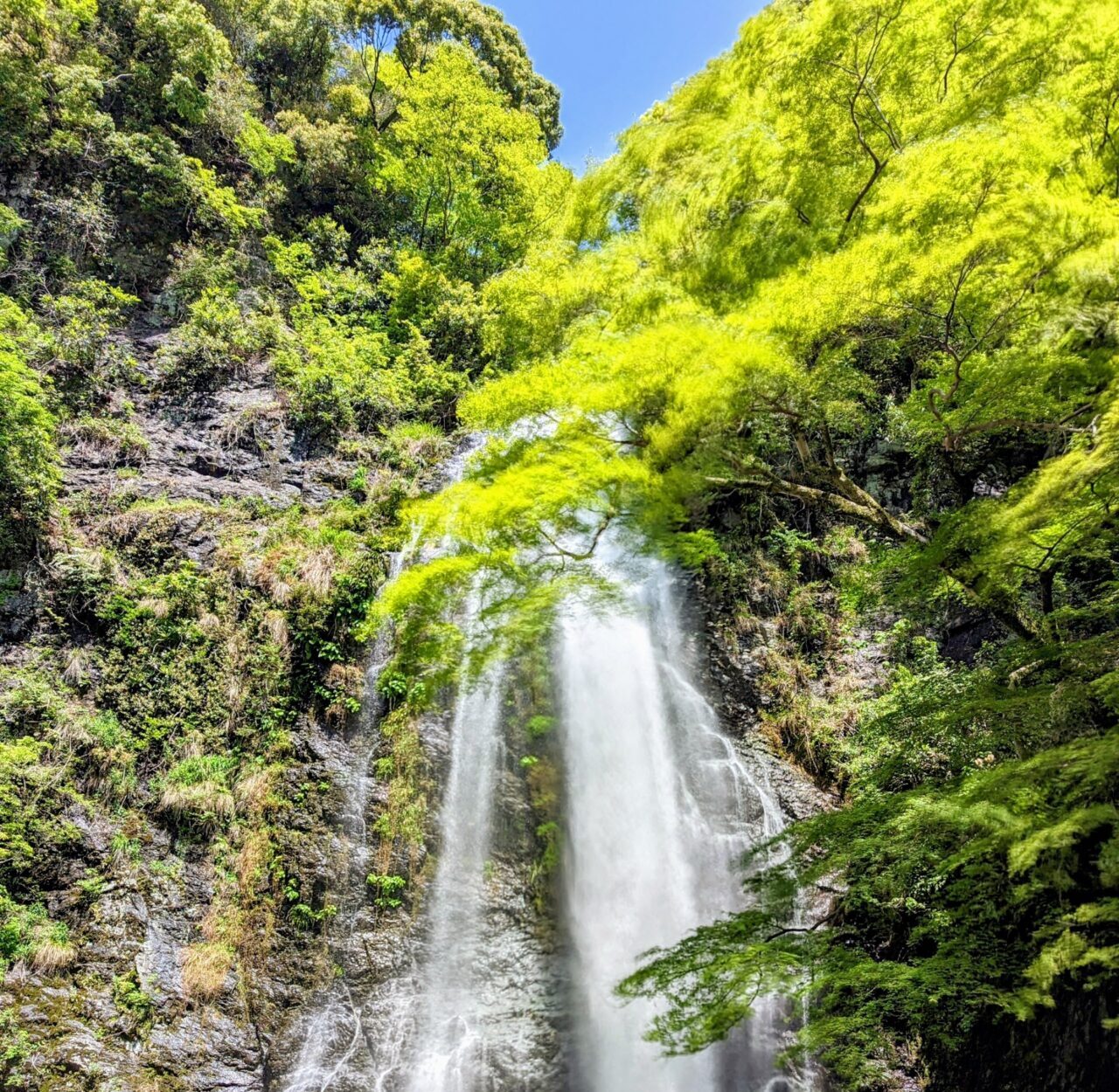 夏の箕面の滝