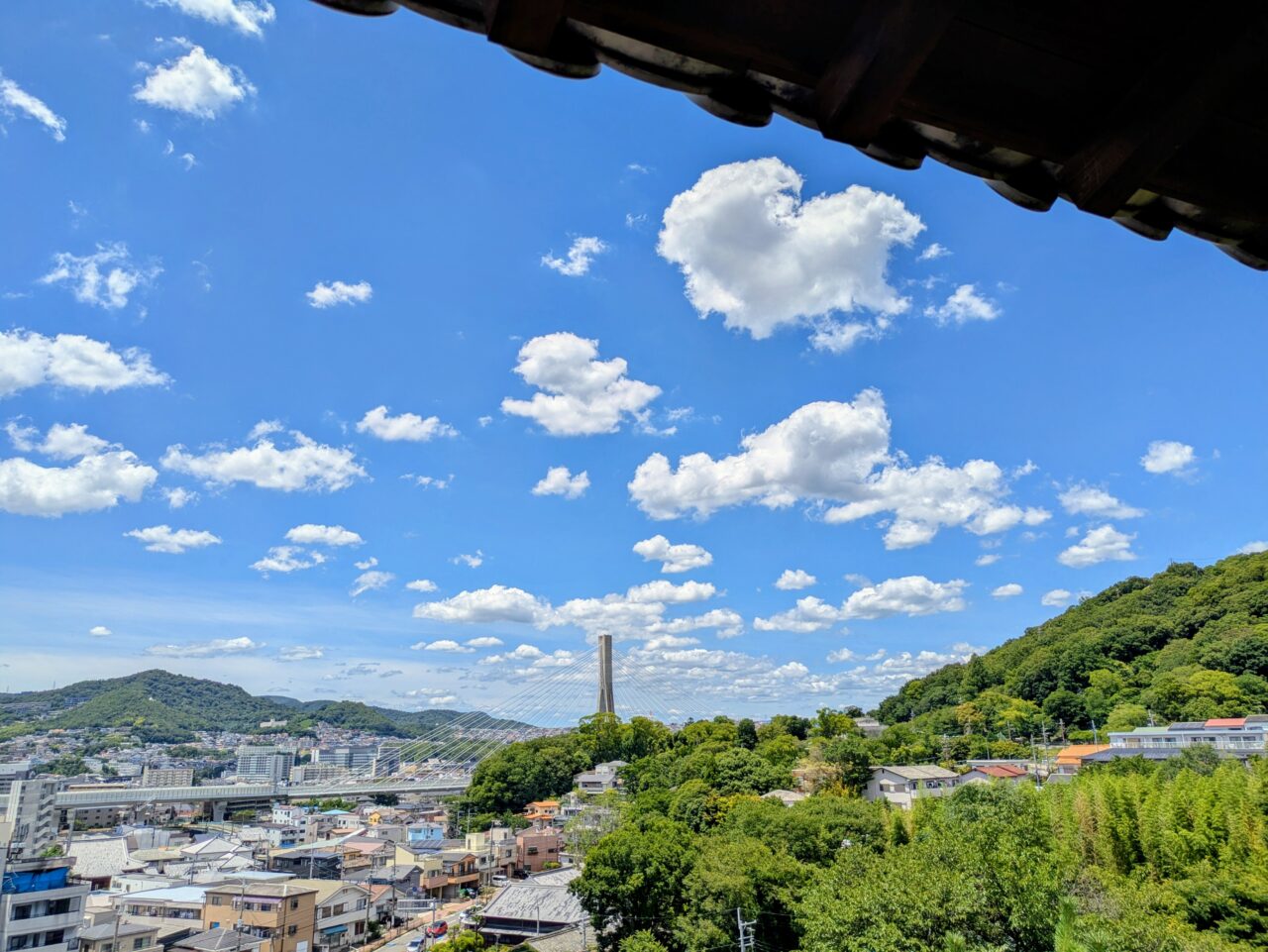 展望台から望む池田市街地