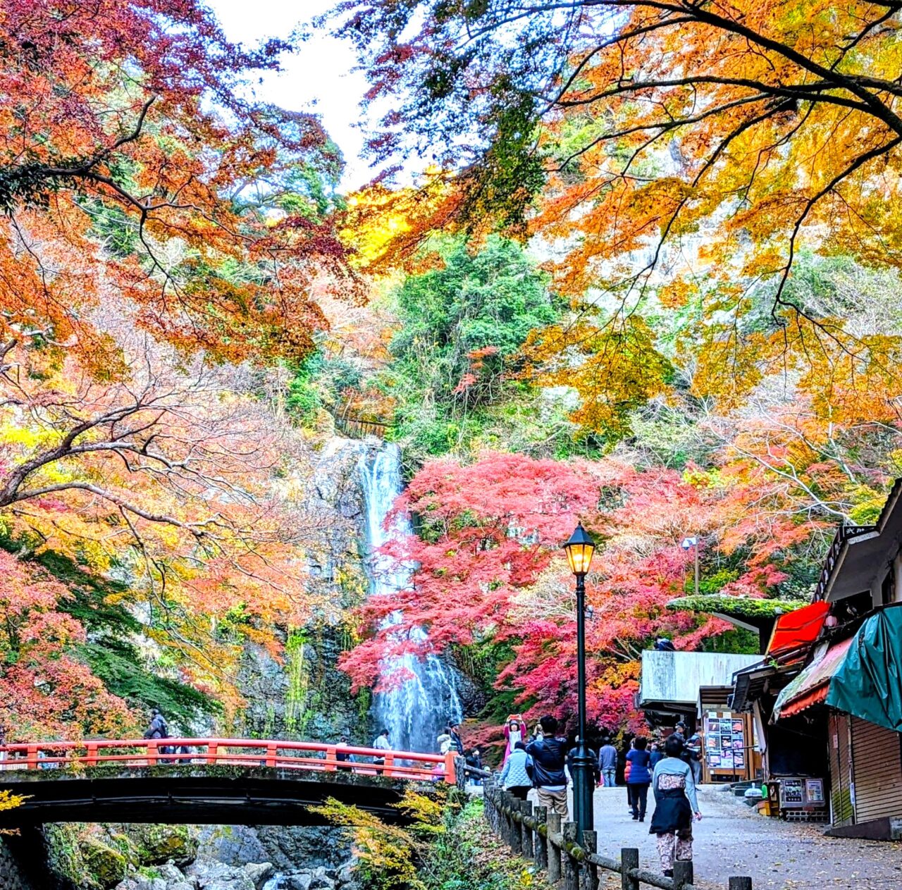 紅葉の箕面大滝
