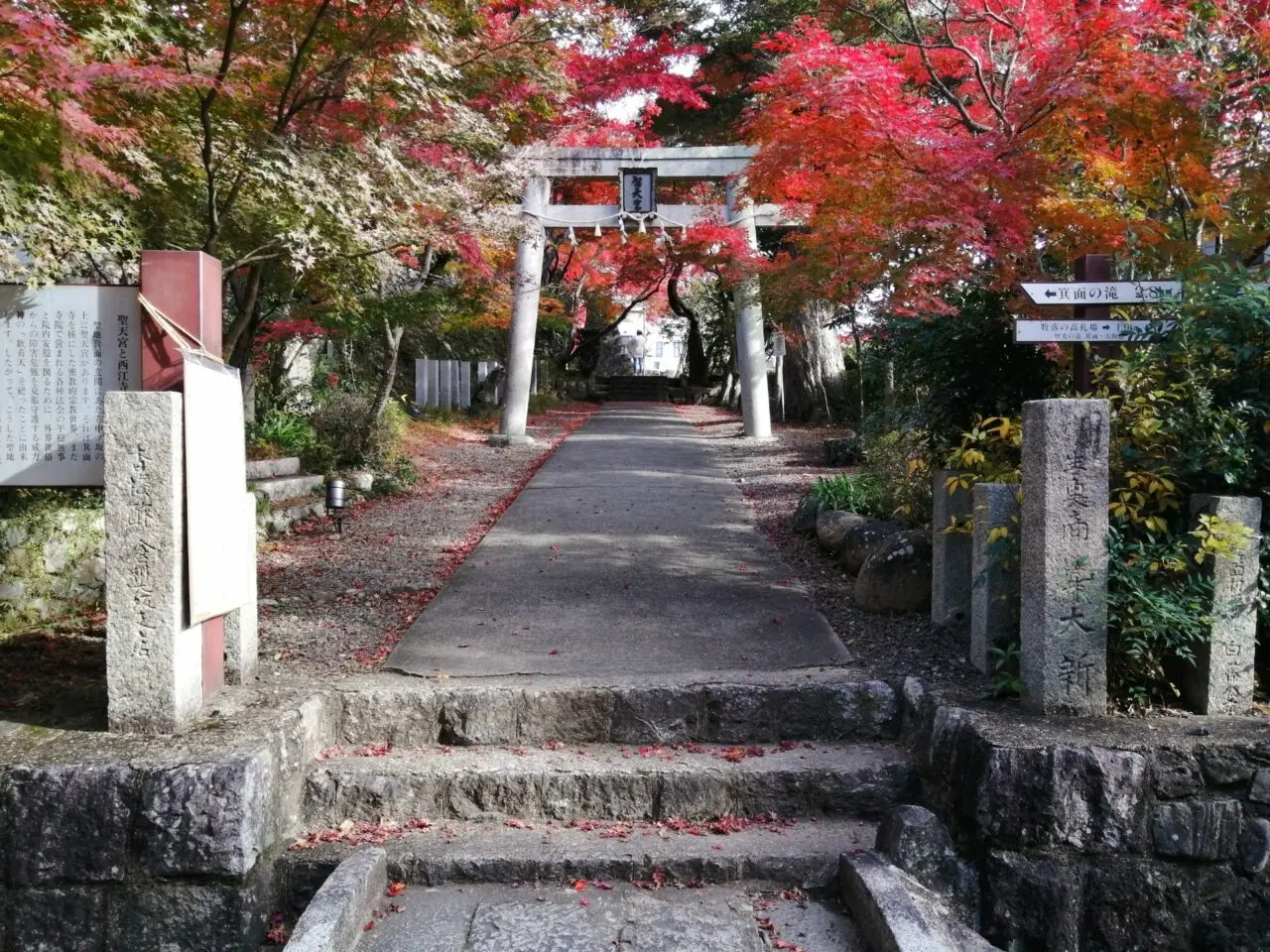 紅葉の頃の西江寺のイメージ