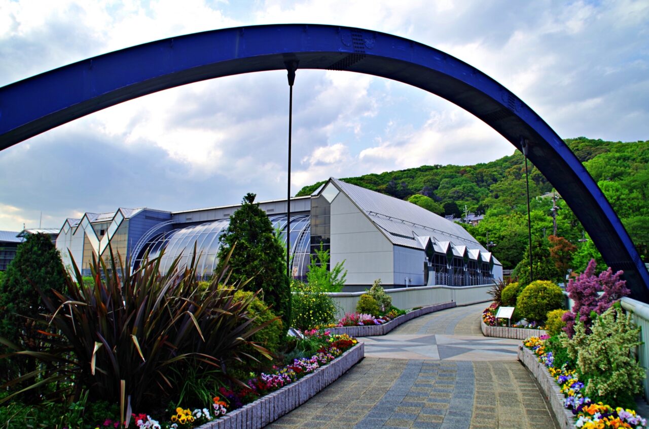 五月山体育館