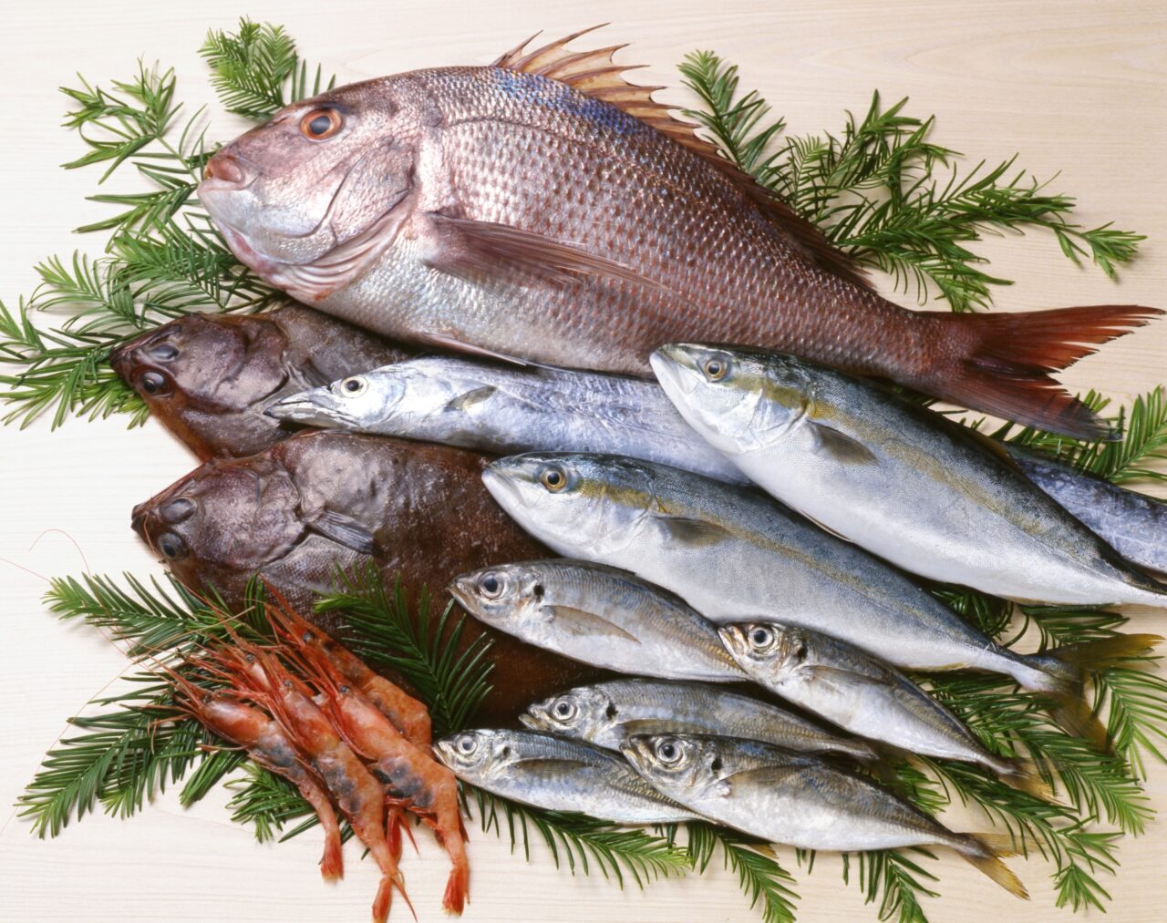 鮮魚のイメージ