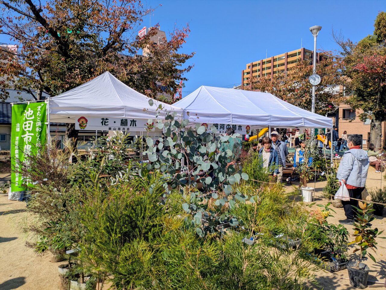 細河の植木販売