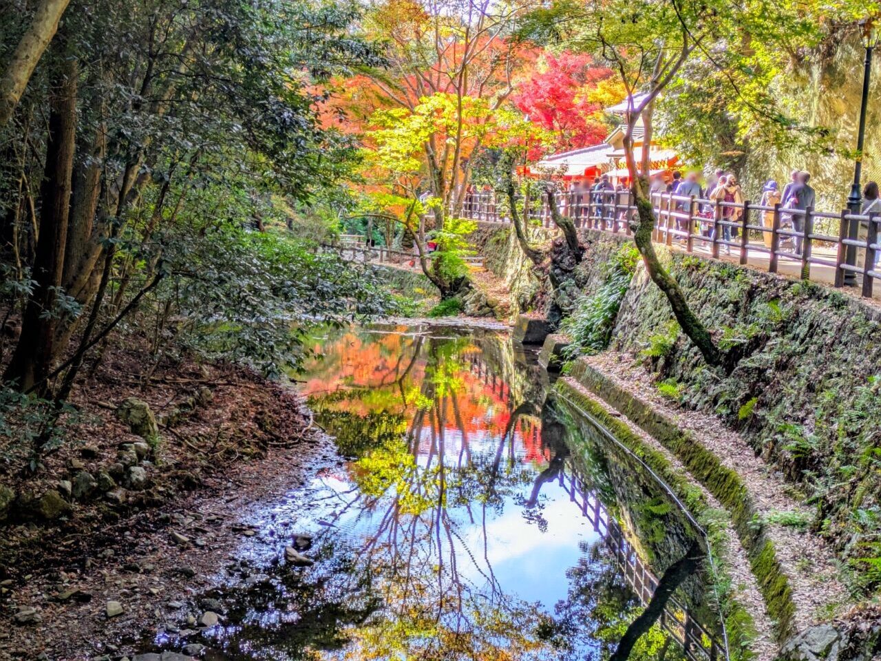 箕面の滝道の紅葉