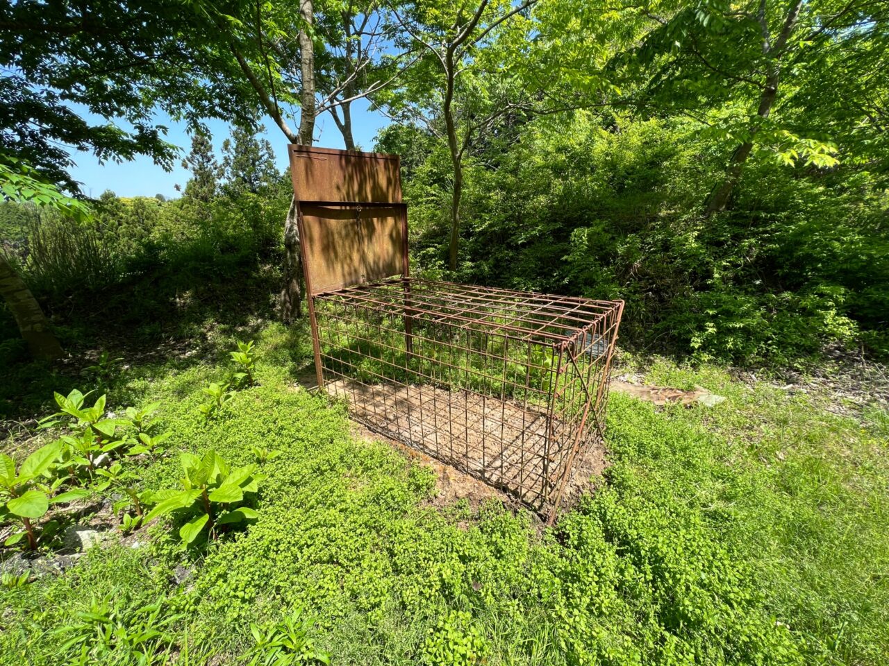 害獣駆除のイメージ