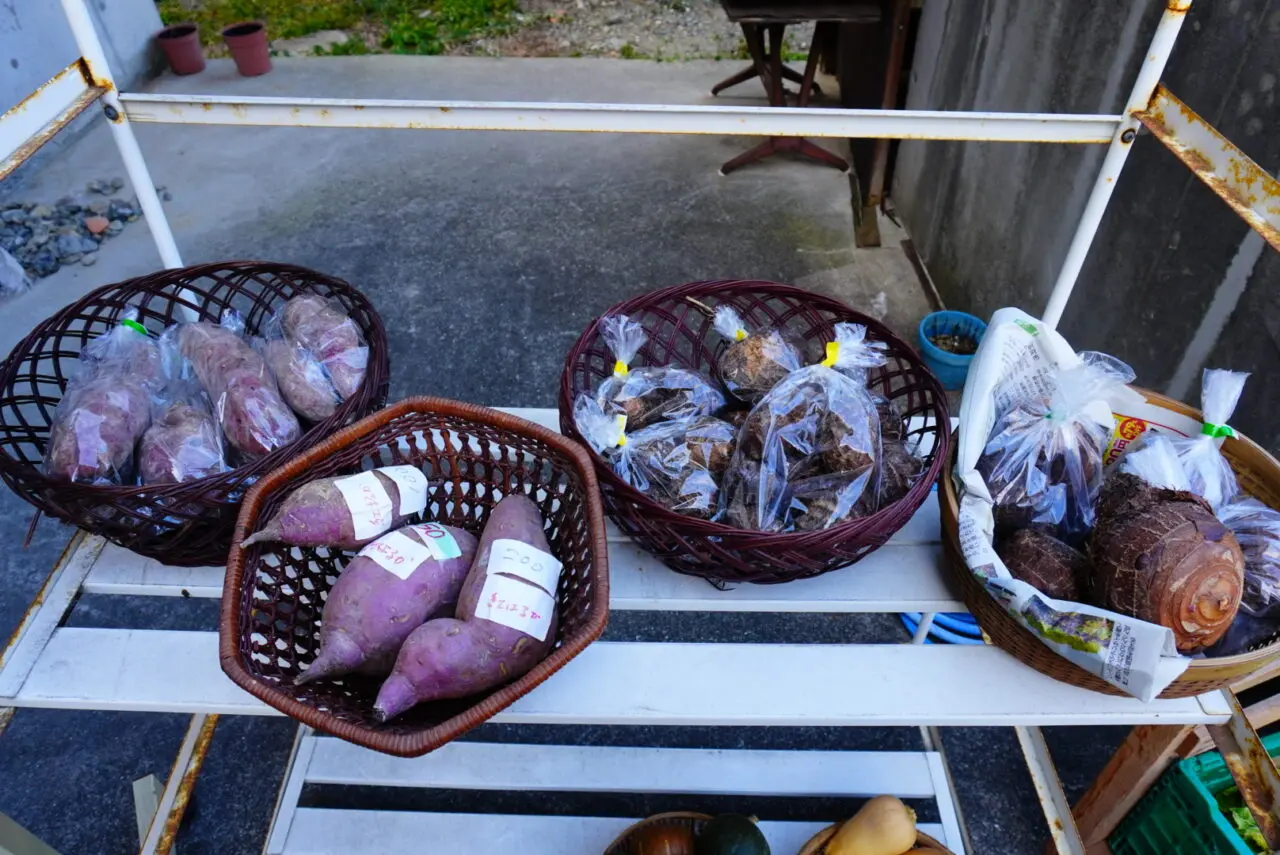 箕面市半町2026年2月フクスケ