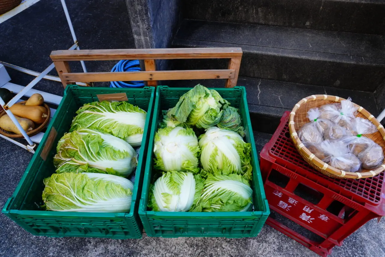 箕面市半町2026年2月スケロク