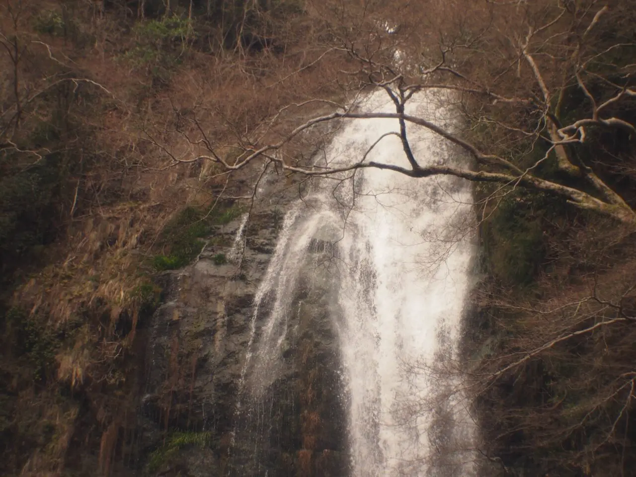 箕面七日市寄席瀧道亭2026年2月