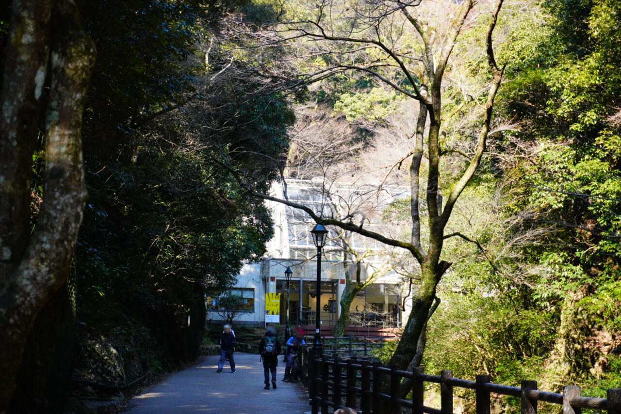 箕面市箕面公園昆虫館先っちょ展2026年2月