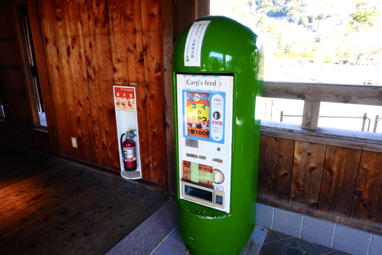 池田市池田城跡公園2026年3月鯉のエサ販売再開