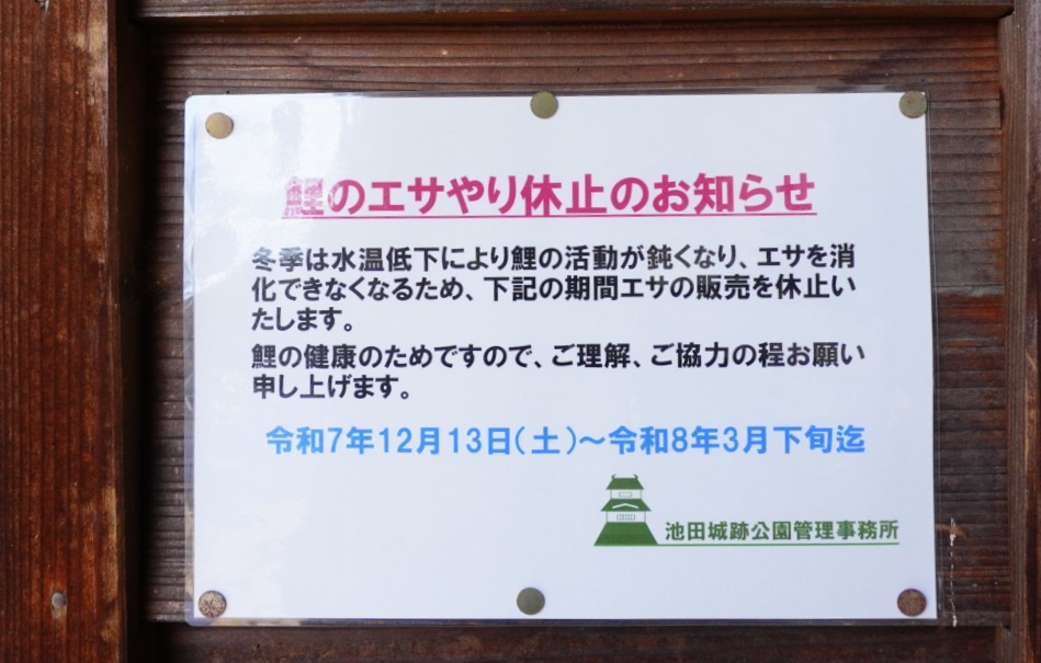 池田市池田城跡公園2026年3月鯉のエサ販売再開