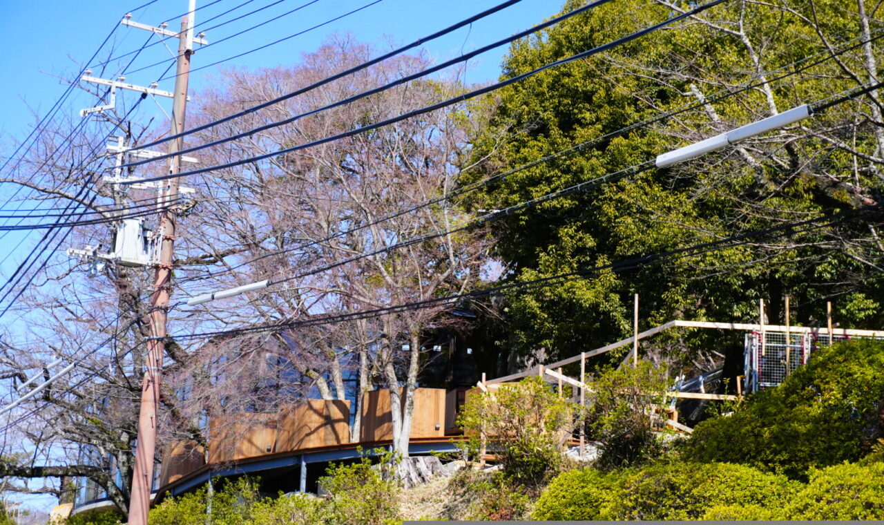 池田市五月山サファリビストロ2026年3月