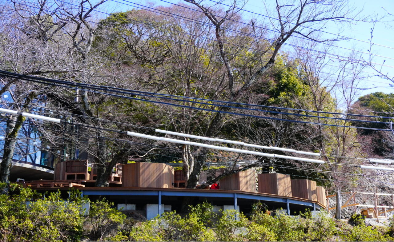 池田市五月山サファリビストロ2026年3月