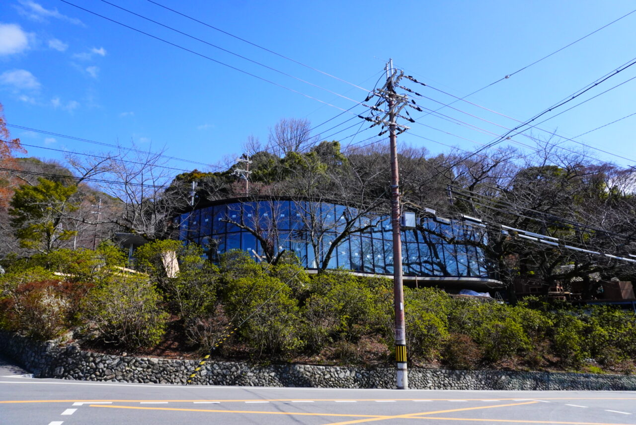 池田市五月山サファリビストロ2026年3月