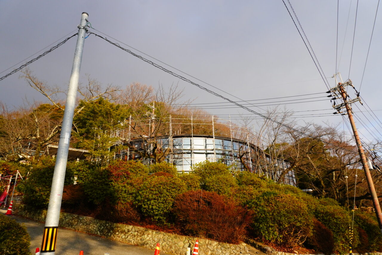 池田市五月山サファリビストロ2026年3月