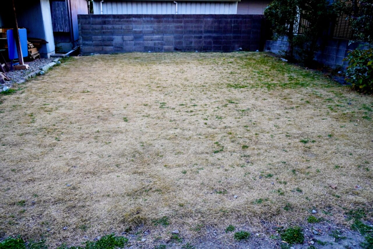 池田市井口堂WellsGarden＆Ichizu2026年3月