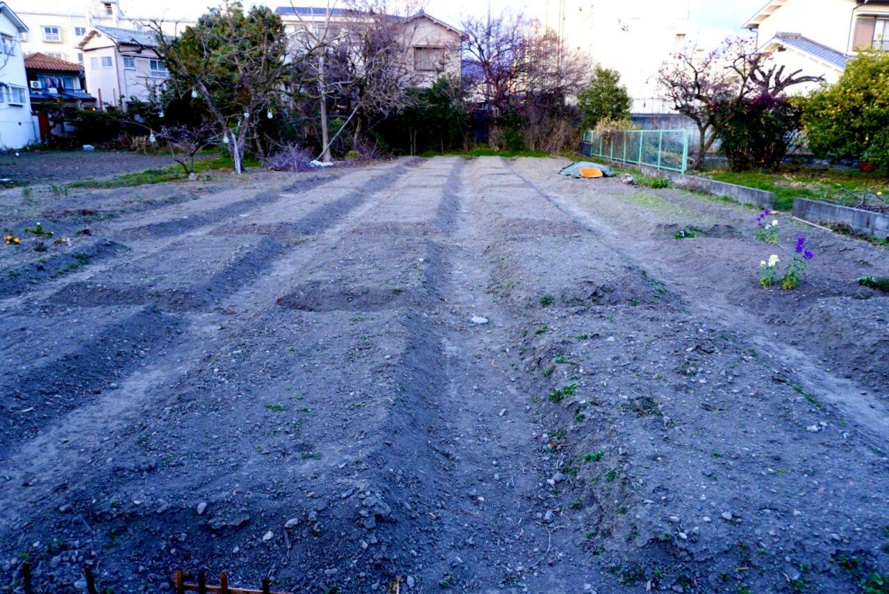 池田市井口堂WellsGarden＆Ichizu2026年3月