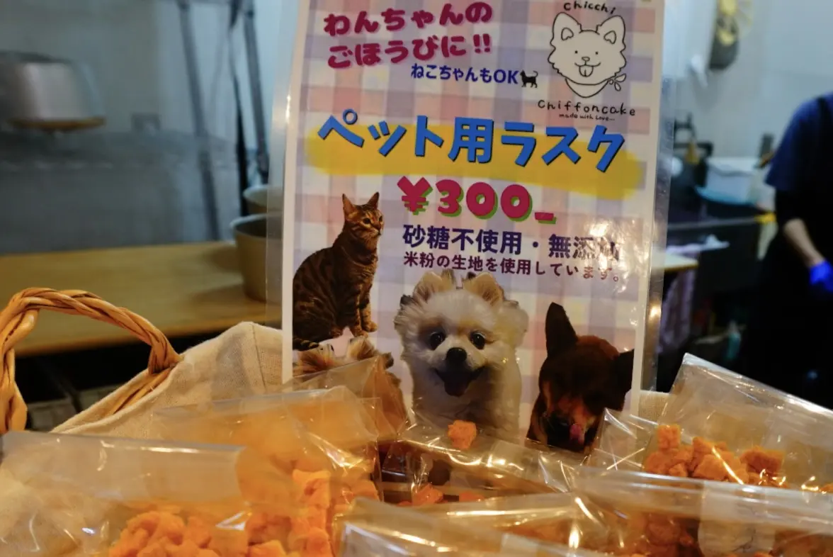 箕面市箕面シフォンケーキ専門店chicchi2026年3月