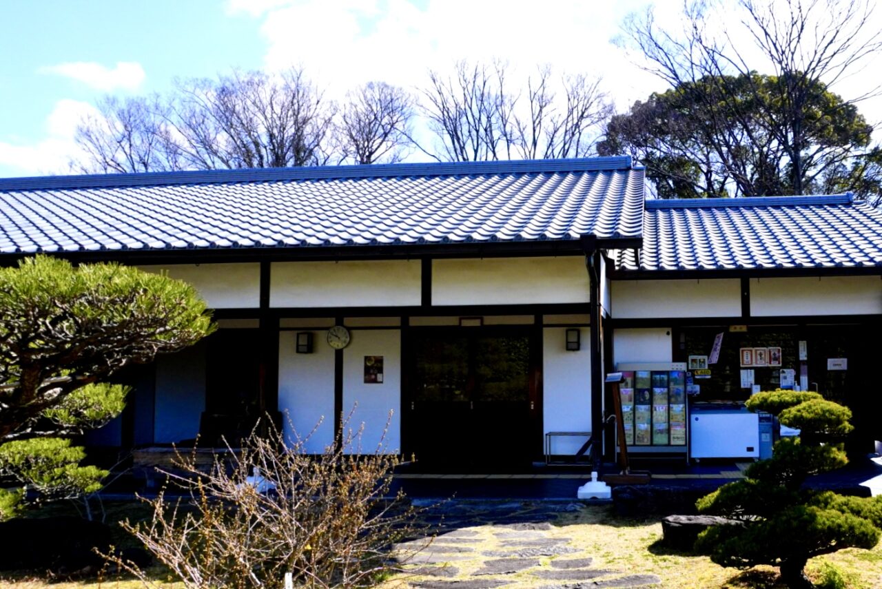 池田城跡公園春の植物観察会2026年4月