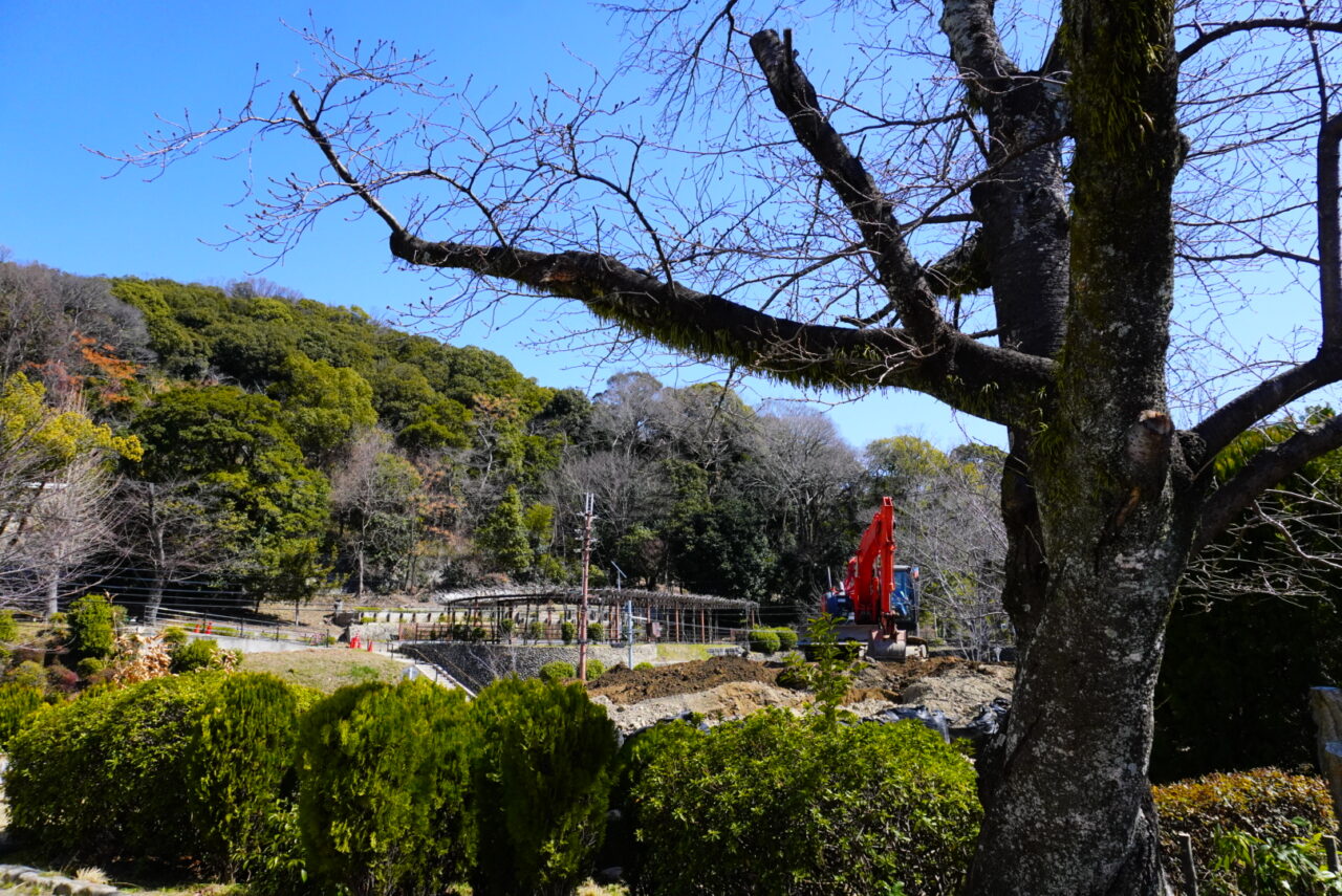 池田市Satsukiyama DAYZOO2026年4月