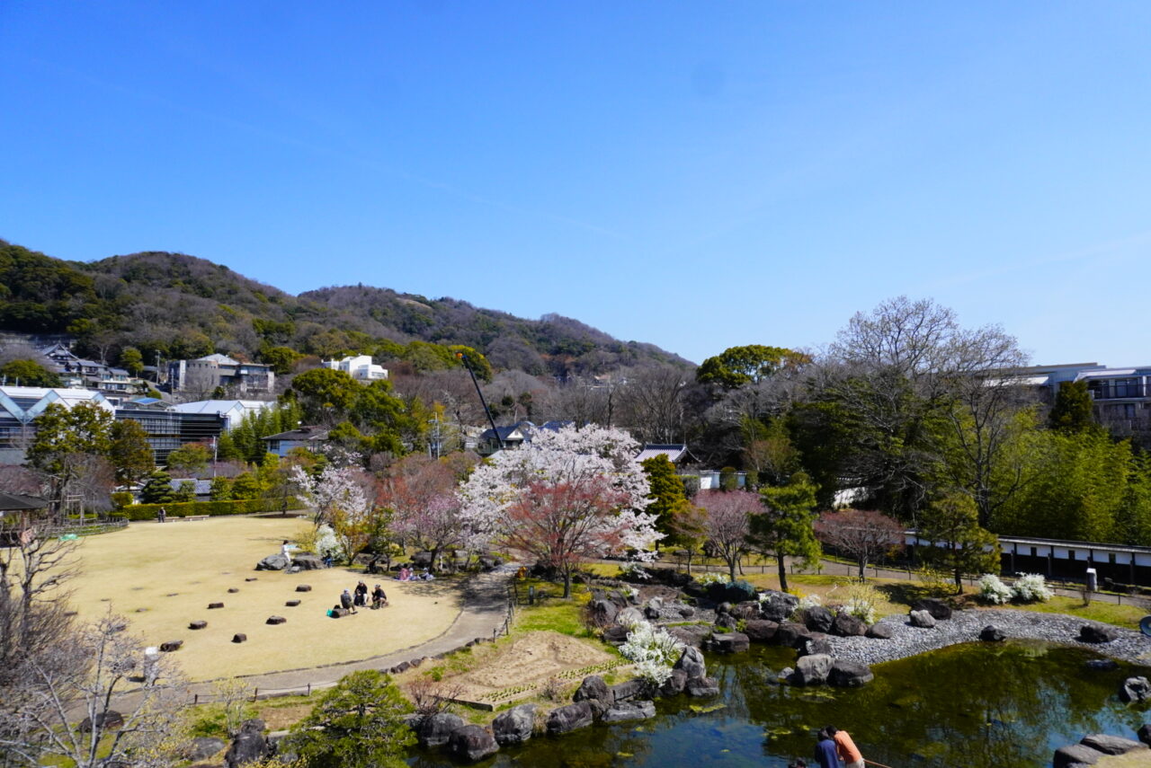 池田城跡公園春の植物観察会2026年4月