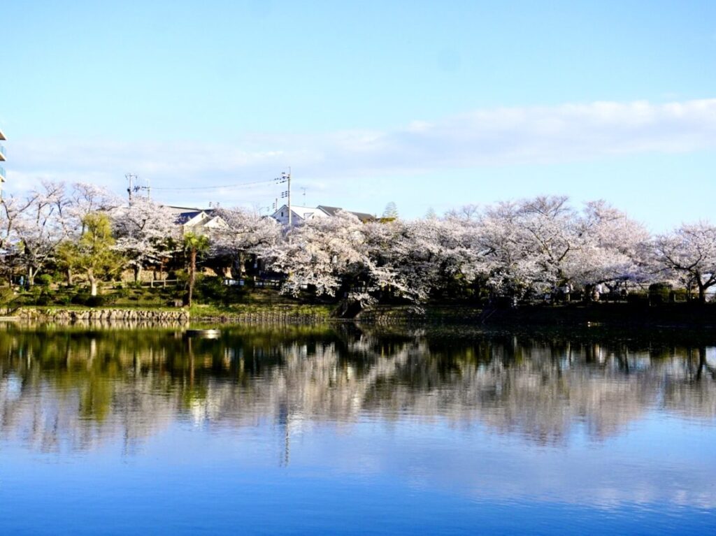 池田市桜水月公園2026年4月