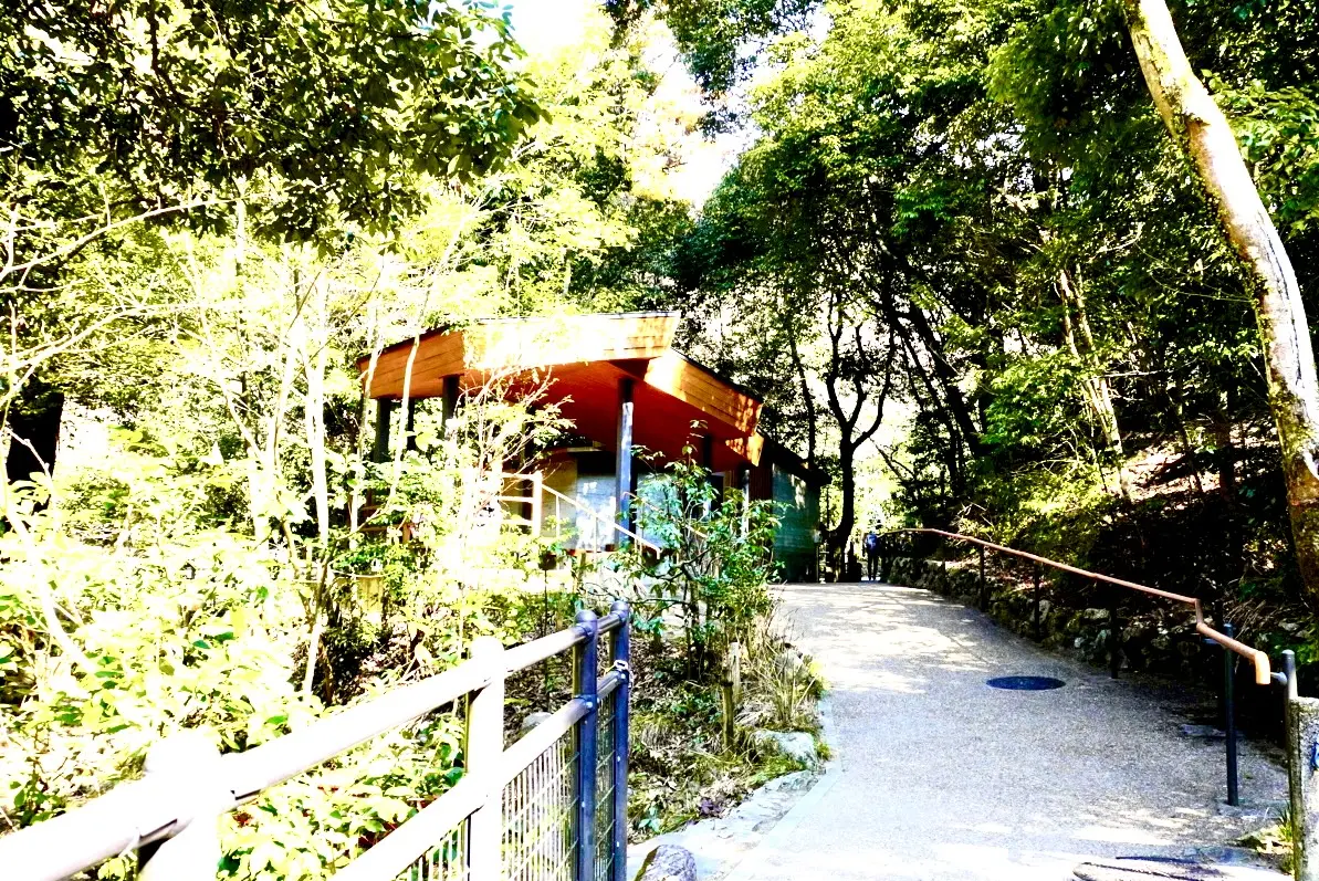 箕面公園2026年4月