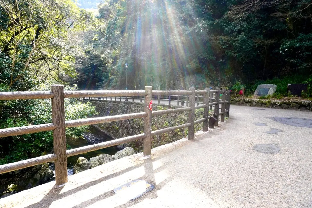 箕面公園昆虫館前2026年4月