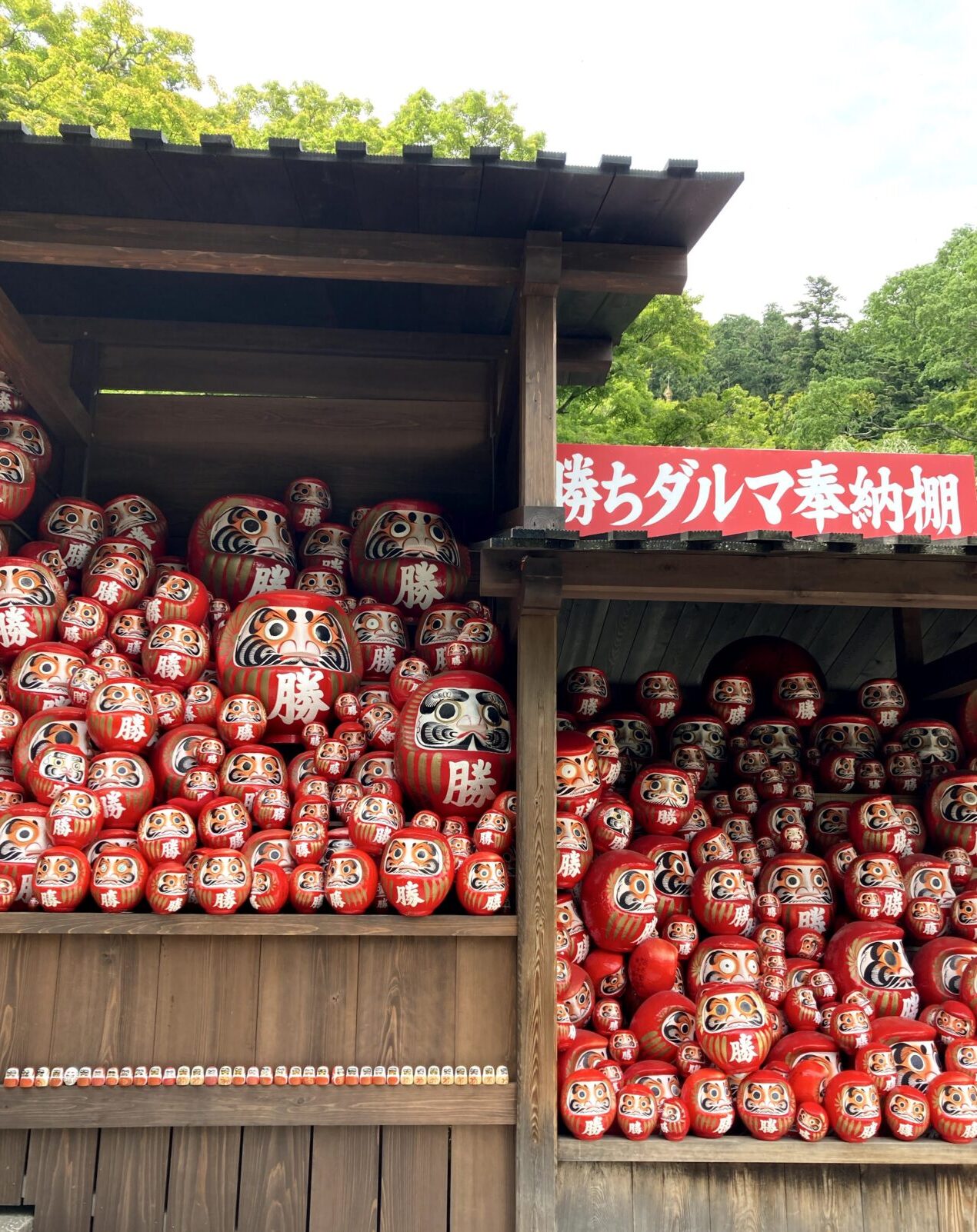 勝尾寺だるま奉納棚2026年4月