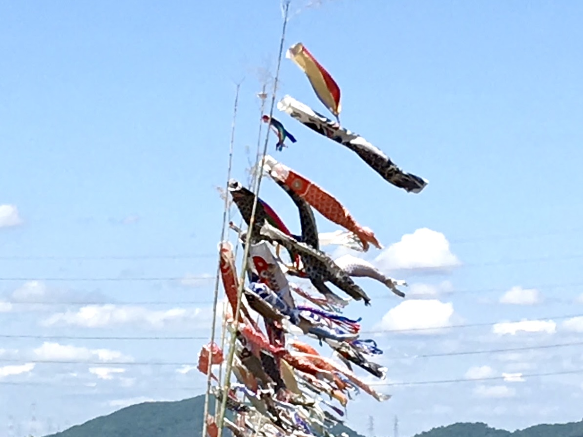 みのおキューズモールみのおの空にこいのぼりが泳ぐ2026年4月