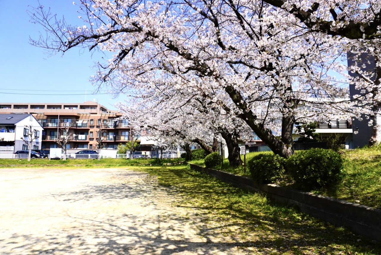 いけだ春団治まつりin豊島野公園2026年4月