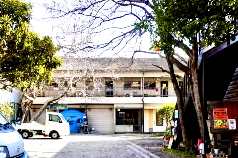鉢塚JACO JAZZ&COFFEE2026年5月