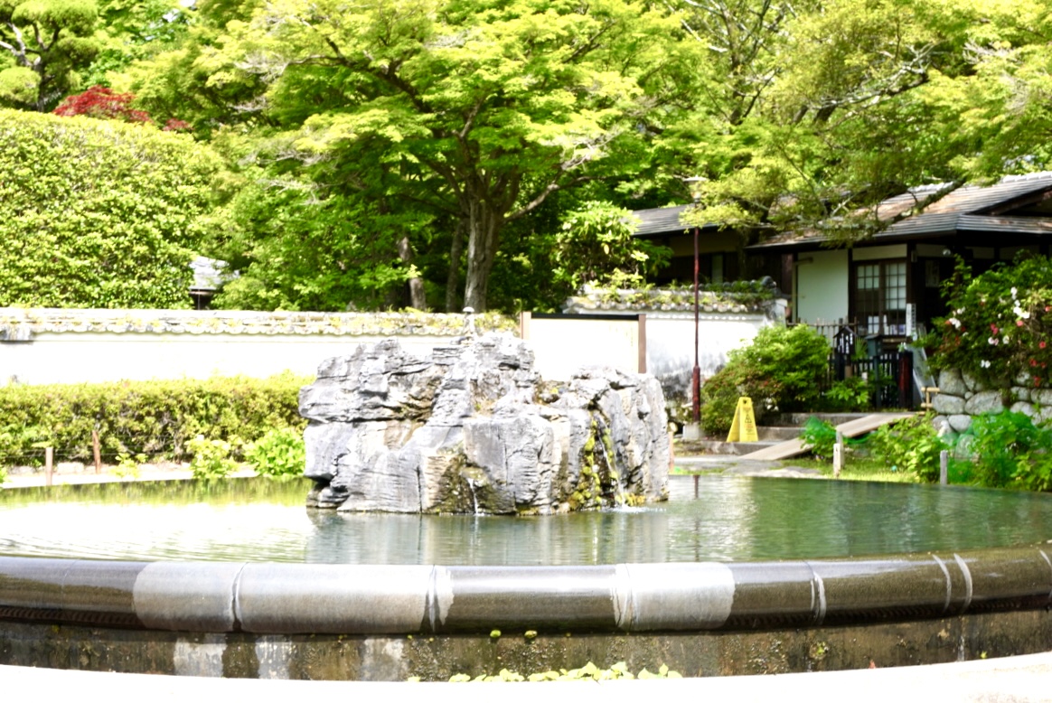 伏尾町久安寺紫陽花2026年6月