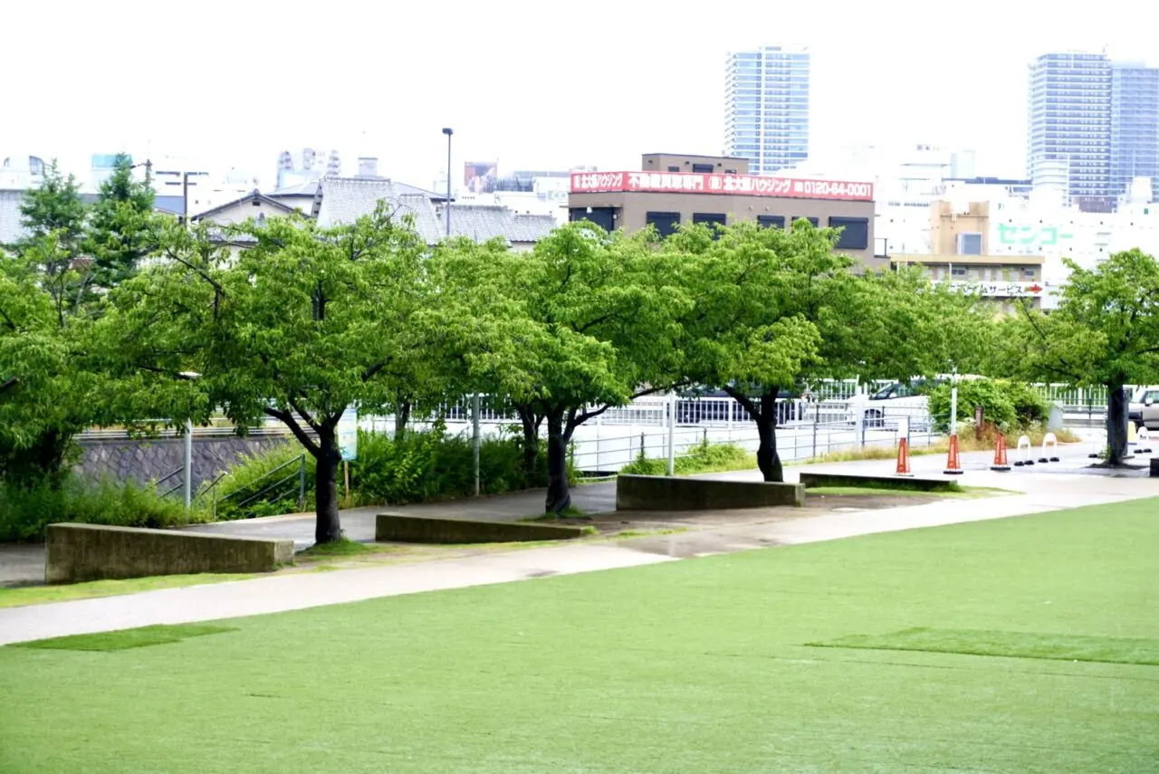 箕面市立かやの広場はらっぱパラダイスかやの2026年6月