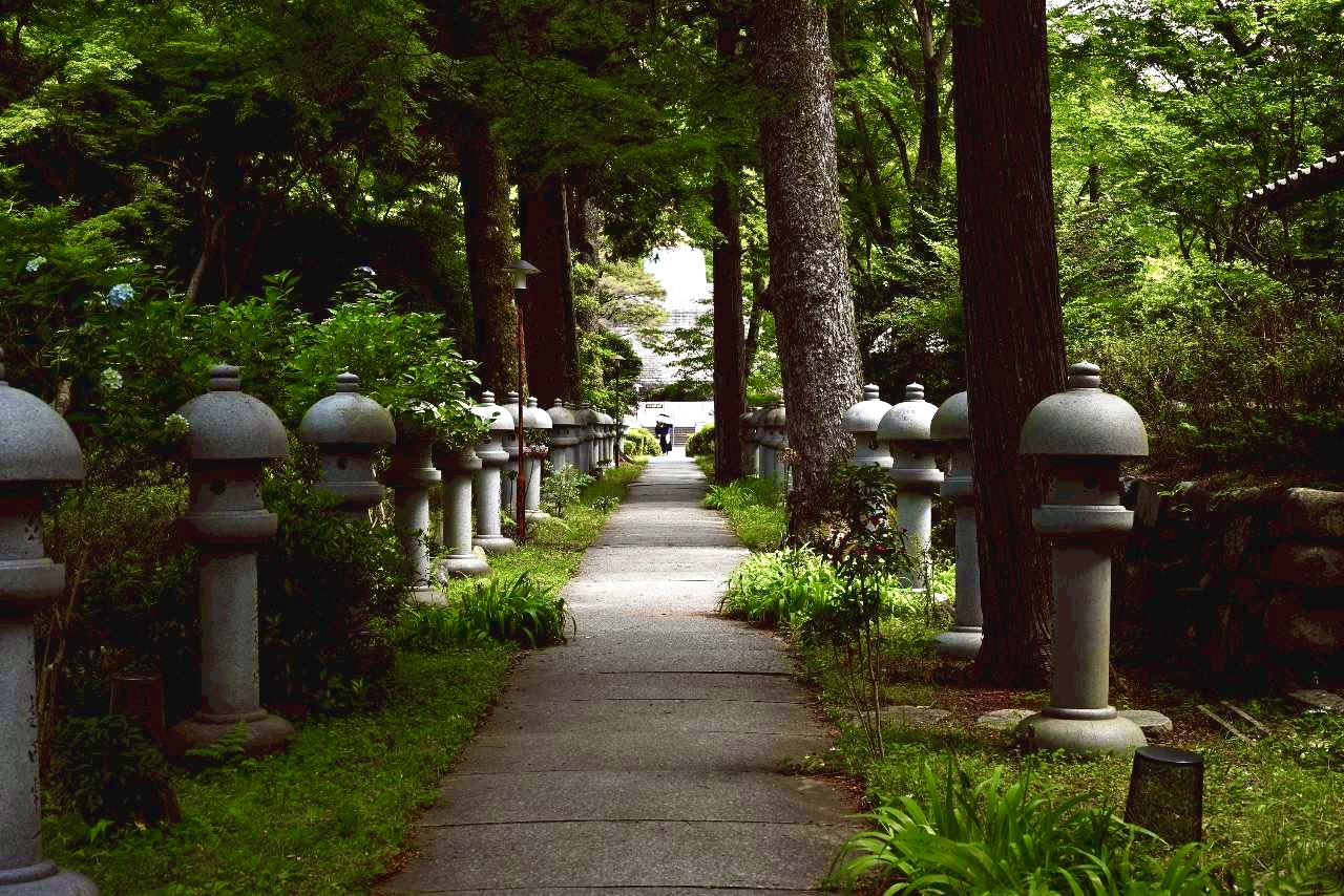 伏尾町久安寺紫陽花2026年6月
