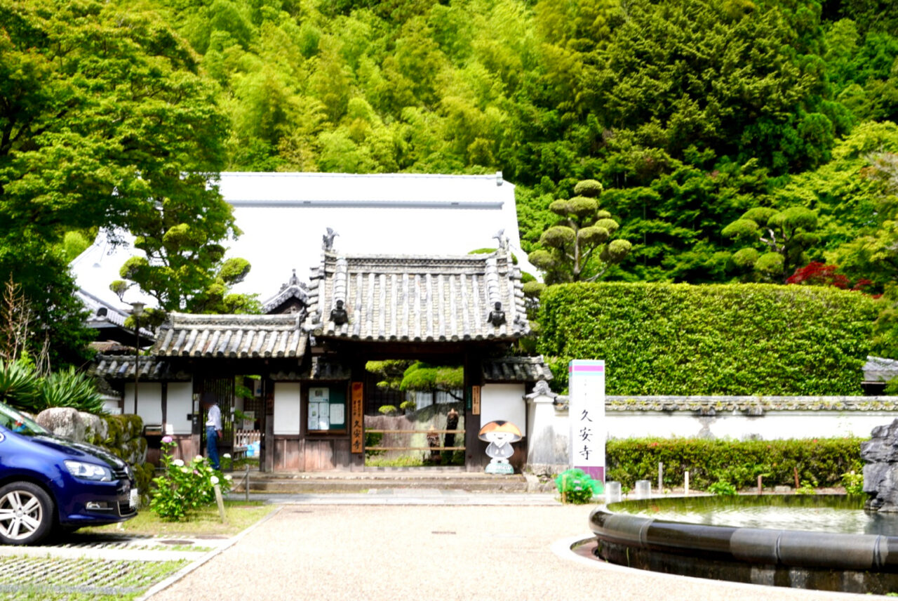 伏尾町久安寺紫陽花2026年6月