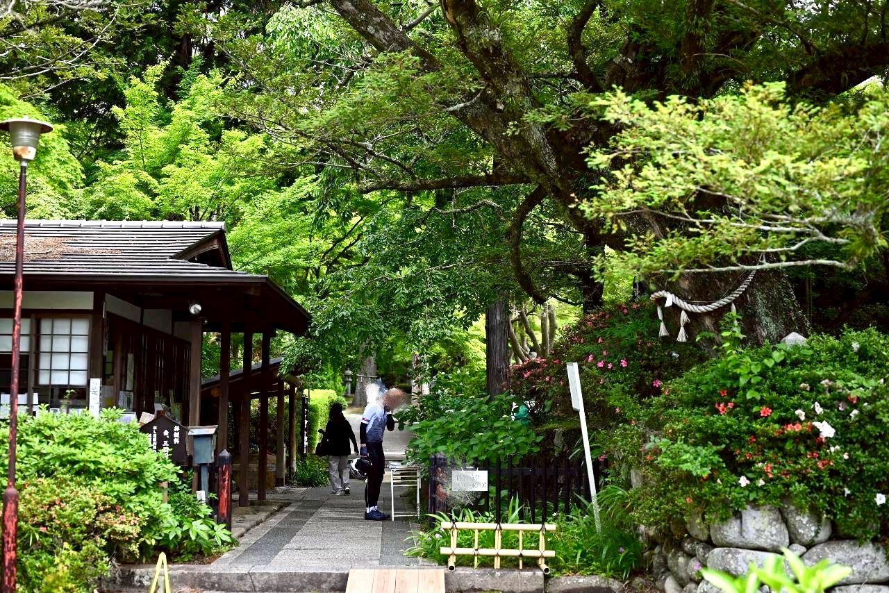 伏尾町久安寺紫陽花2026年6月