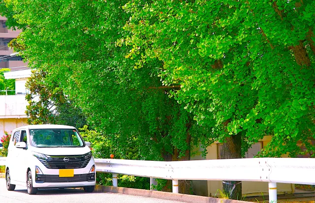 生活道路30㎞/h変更2026年8月
