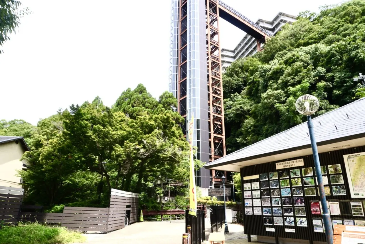 大江戸温泉物語箕面温泉スパーガーデン2026年8月