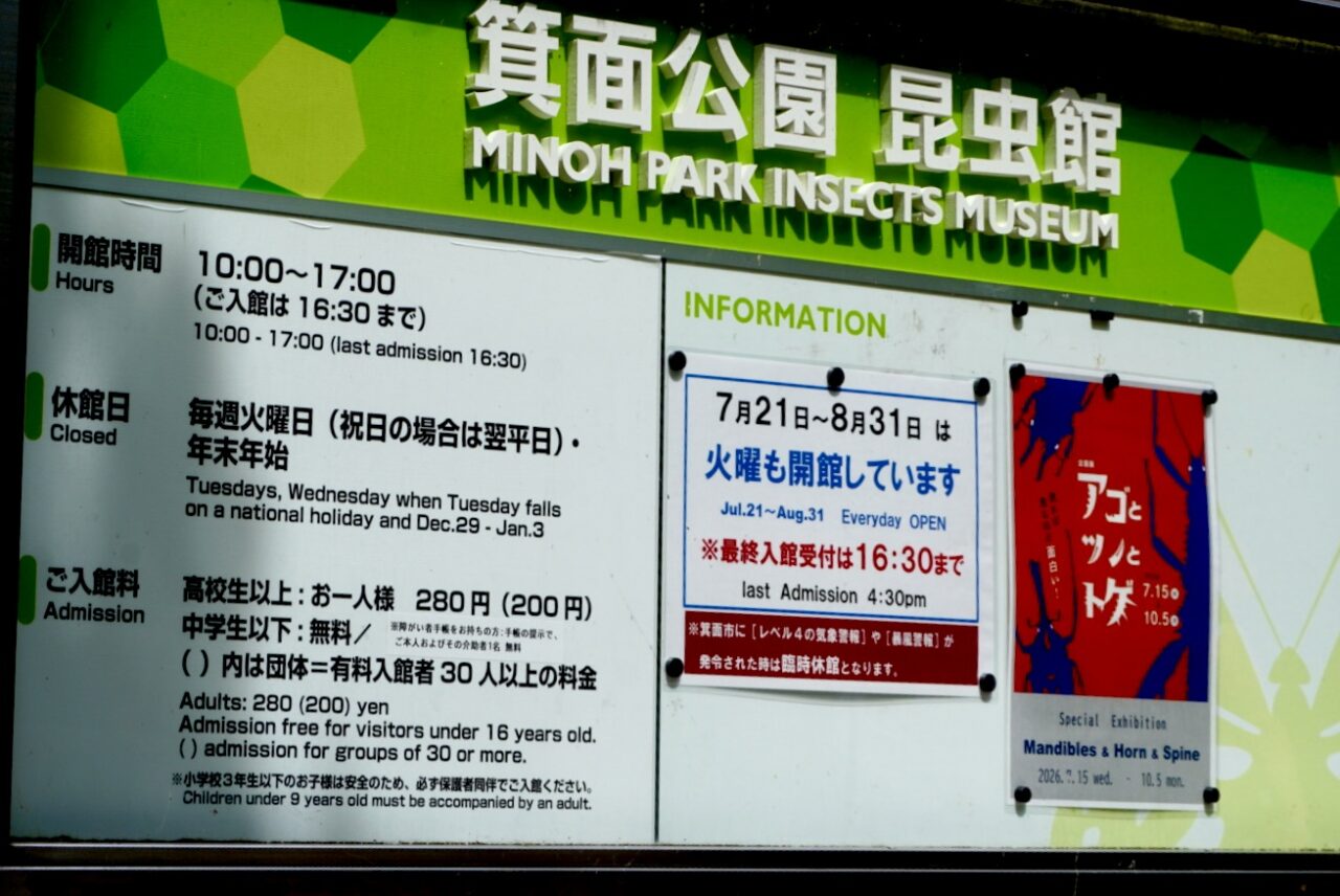 箕面公園昆虫館アゴととツノとトゲ2026年8月