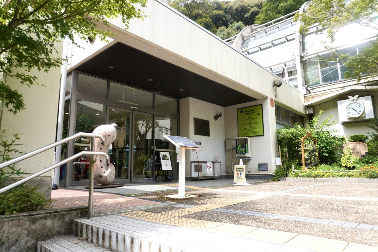 箕面公園昆虫館アゴとツノとトゲ2026年8月